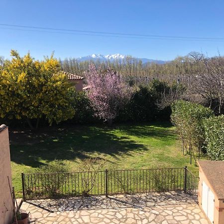 Au Mimosa -Gite Le Canigou Passa Esterno foto