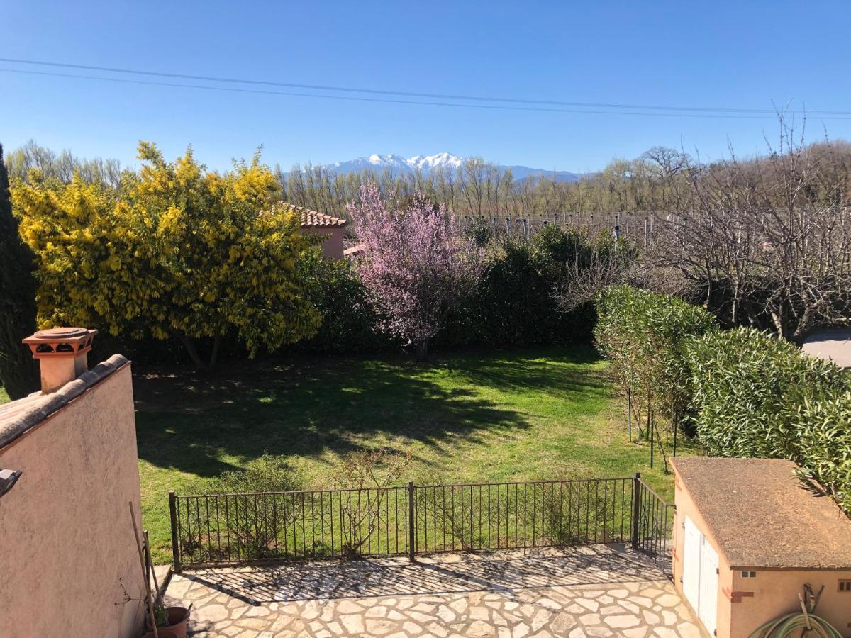 Au Mimosa -Gite Le Canigou Passa Esterno foto