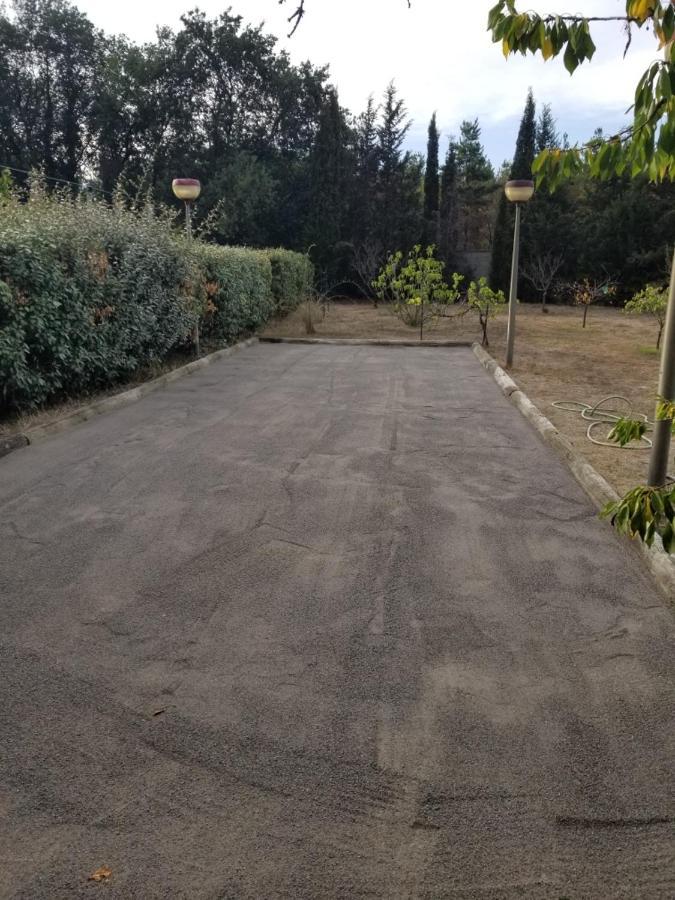 Au Mimosa -Gite Le Canigou Passa Esterno foto