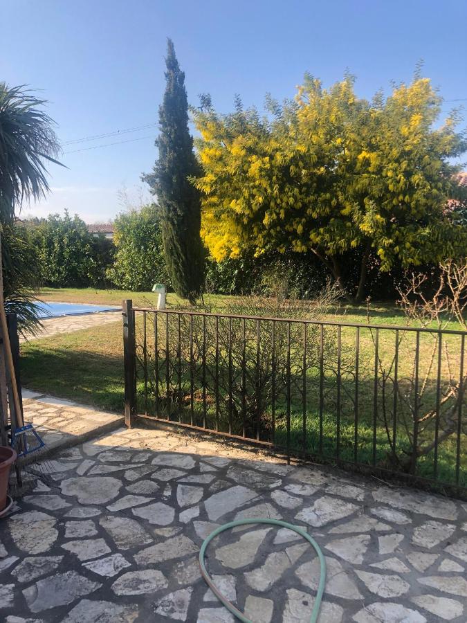 Au Mimosa -Gite Le Canigou Passa Esterno foto
